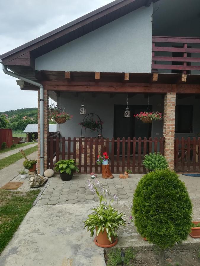 Willa Casa Ricciotti Tritenii de Jos Zewnętrze zdjęcie